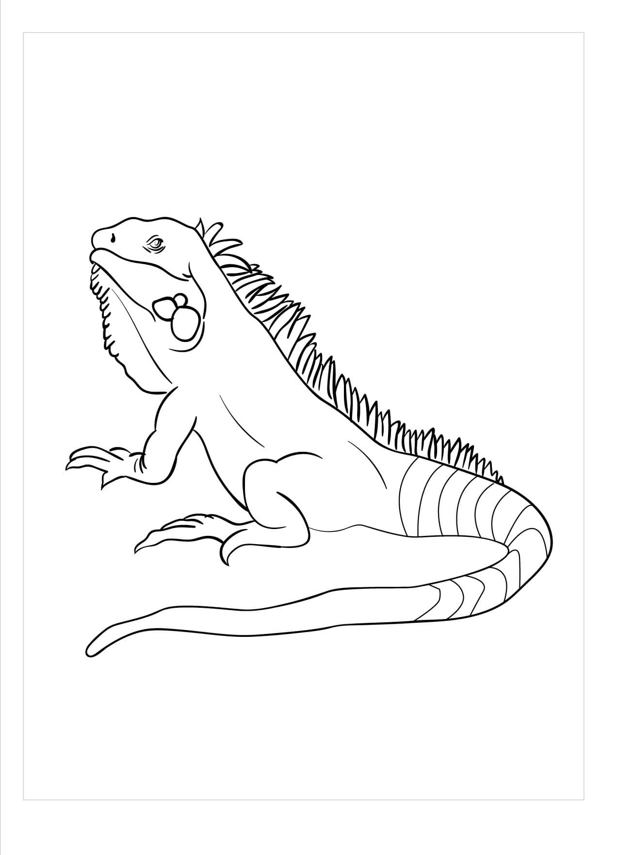 Dibujo de El Lagarto para Colorear