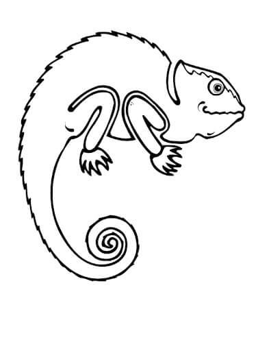 Dibujo de Geco para Colorear