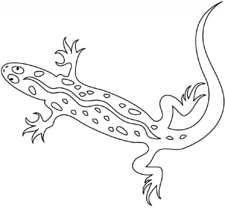 Dibujo de Lagarto 1 para Colorear