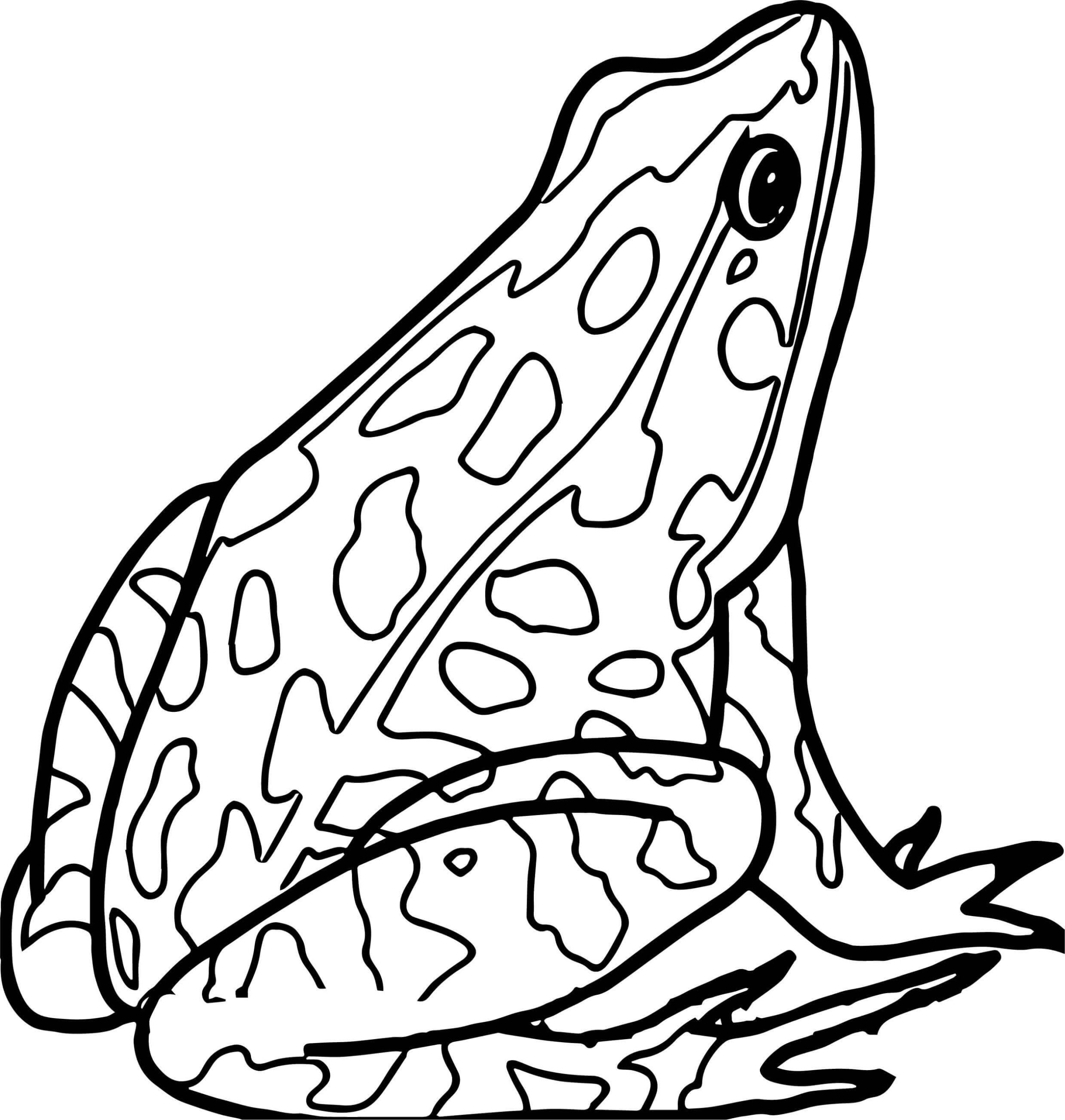 Dibujo de Rana Sentada Scaled para Colorear