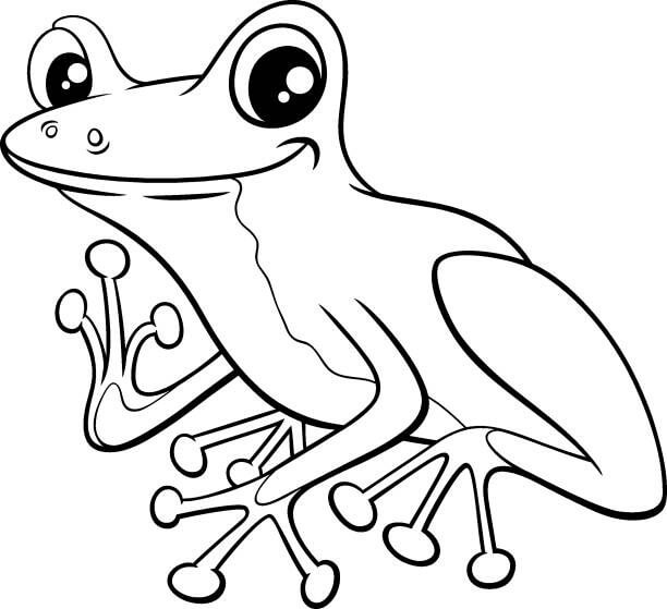 Dibujo de Rana Divertido para Colorear