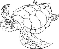Dibujo de Tortuga Nadando 2 para Colorear