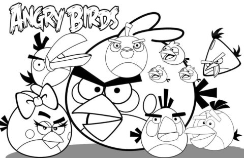 Dibujo de Todos los Personajes de Angry Birds para Colorear