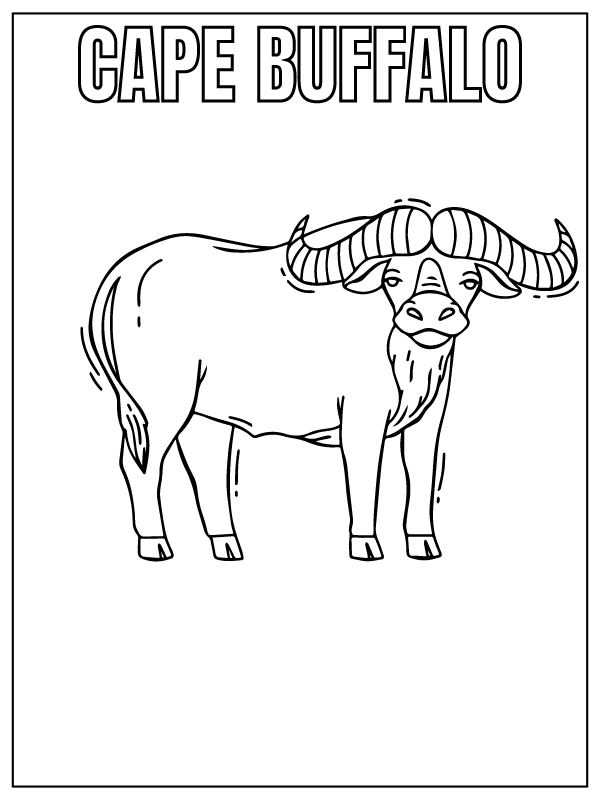 Dibujo de Cape Buffalo Safari Animal Coloring Page para Colorear
