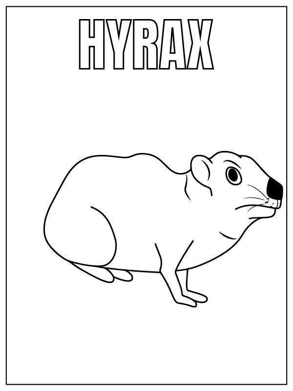 Dibujo de Hyrax Safari Animal Coloring Page para Colorear