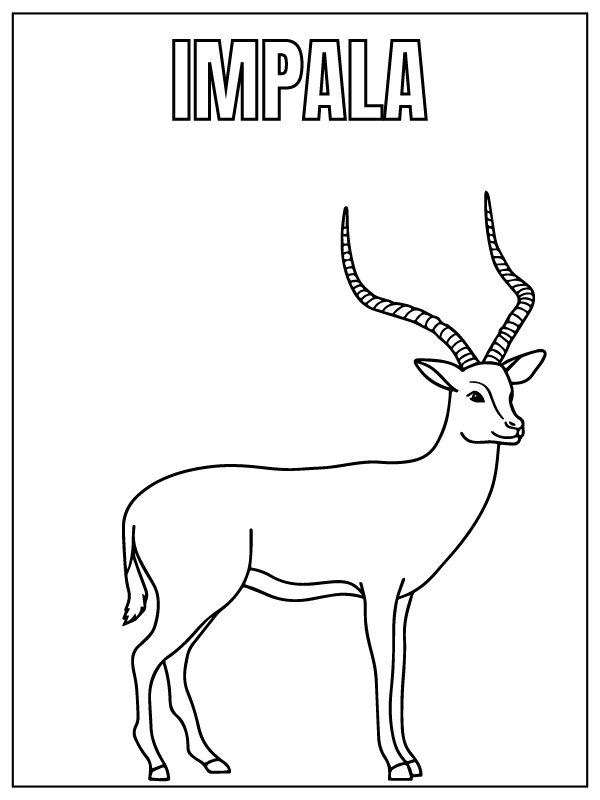 Dibujo de Impala Safari Animal Coloring Page para Colorear