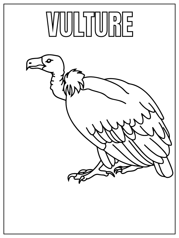 Dibujo de Vulture Safari Animal Coloring Page para Colorear