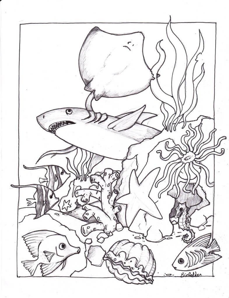 Dibujo de Animal Marino Imprimible para Colorear