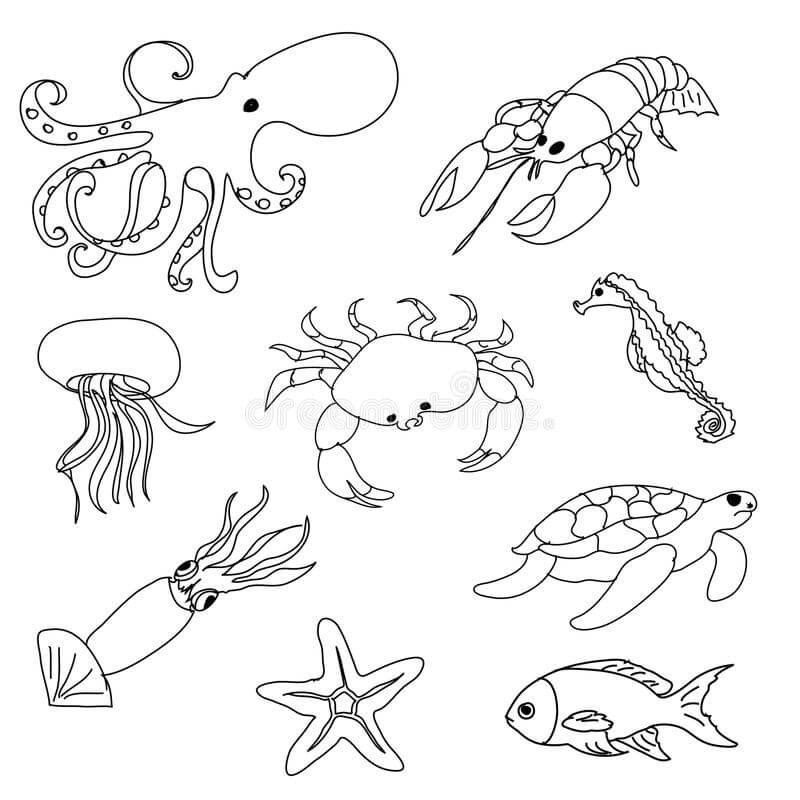 Dibujo de Animales Bsicos para Colorear