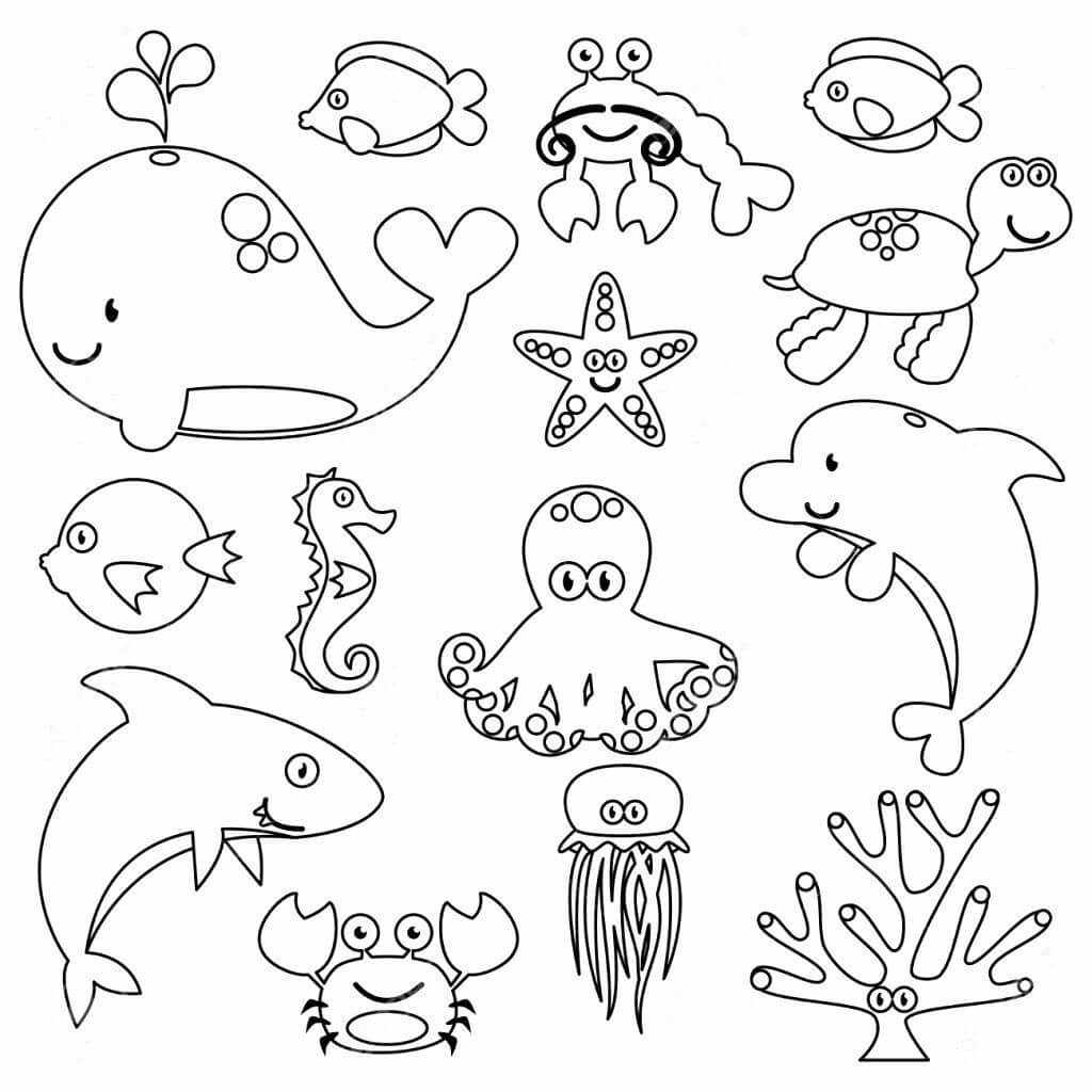 Dibujo de Bonito Animal Marino para Colorear