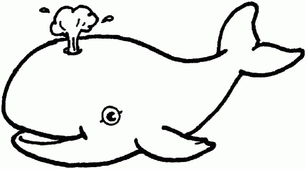 Dibujo de Delfines para Colorear