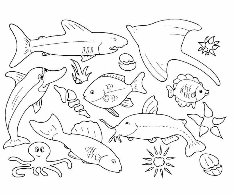 Dibujo de Grandes Animales Marinos para Colorear