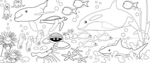 Dibujo de Hermosos Animales Marinos para Colorear