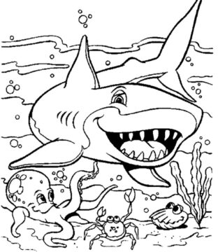 Dibujo de Increbles Animales Marinos para Colorear