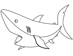 Dibujo de Tiburn Bsico para Colorear