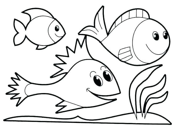 Dibujo de Tres Peces Lindo para Colorear