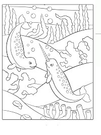 Dibujo de Unicornio de Dos Mar para Colorear