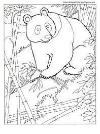 Dibujo de Panda para Colorear