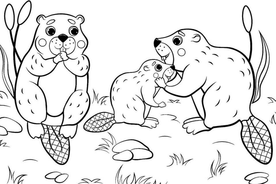 Dibujo de Familia de Ardillas para Colorear