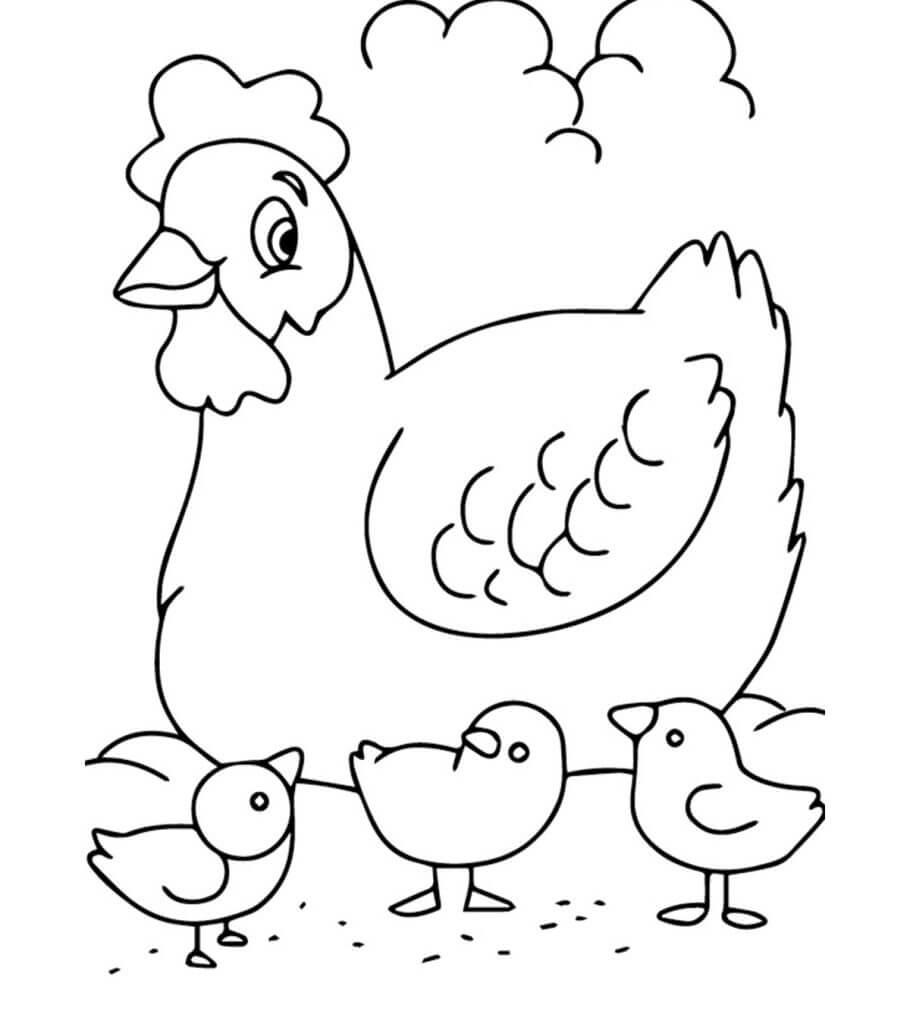 Dibujo de Pollo Familiar para Colorear