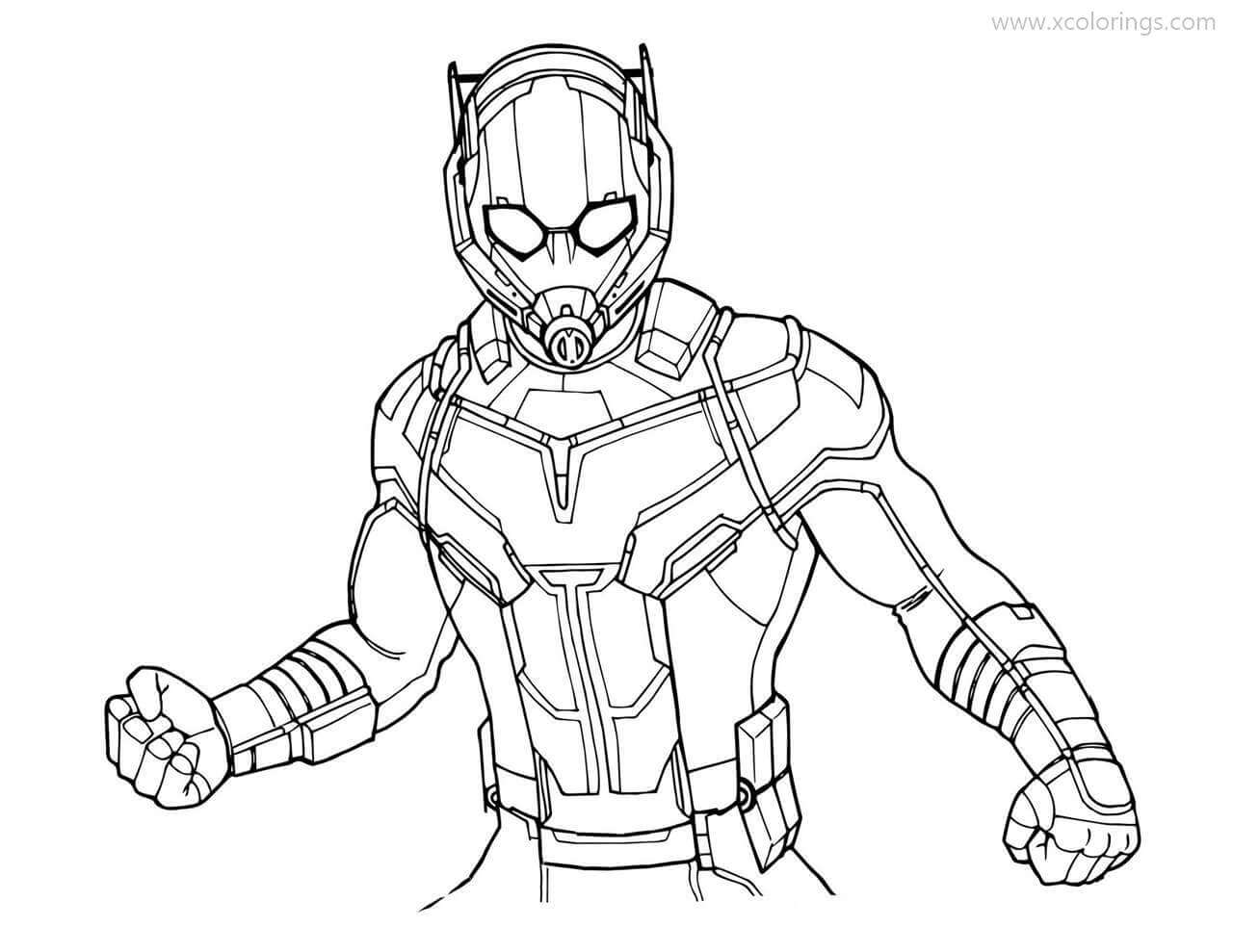 Dibujo de Marvel Hombre Hormiga para Colorear