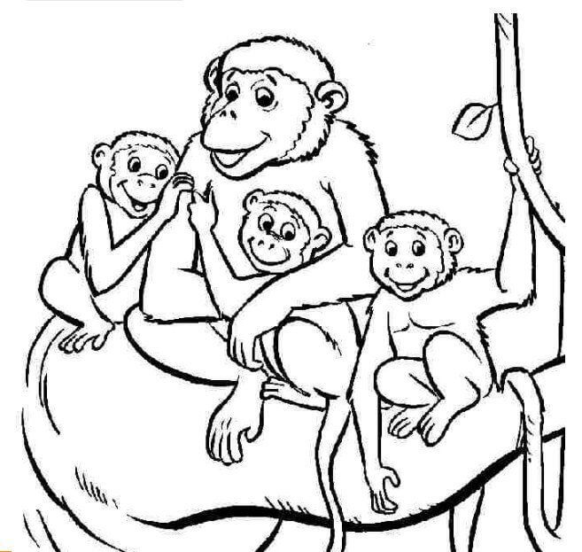 Dibujo de Familia de Simios para Colorear