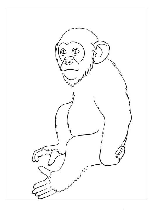 Dibujo de Impresionantes Simios para Colorear