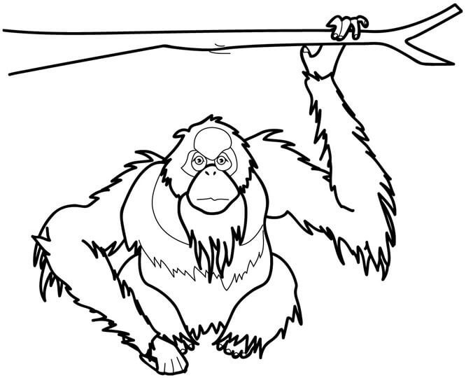 Dibujo de Mono sin Cola Sosteniendo una Rama de Rbol para Colorear