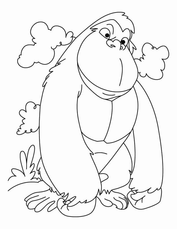 Dibujo de Simio Agradable para Colorear