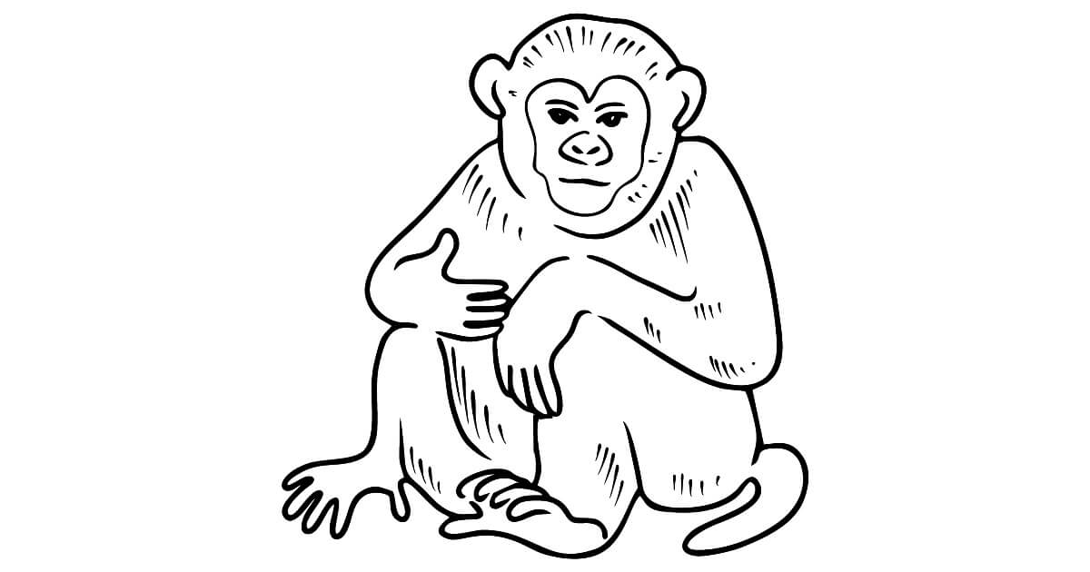 Dibujo de Simio Asombroso para Colorear