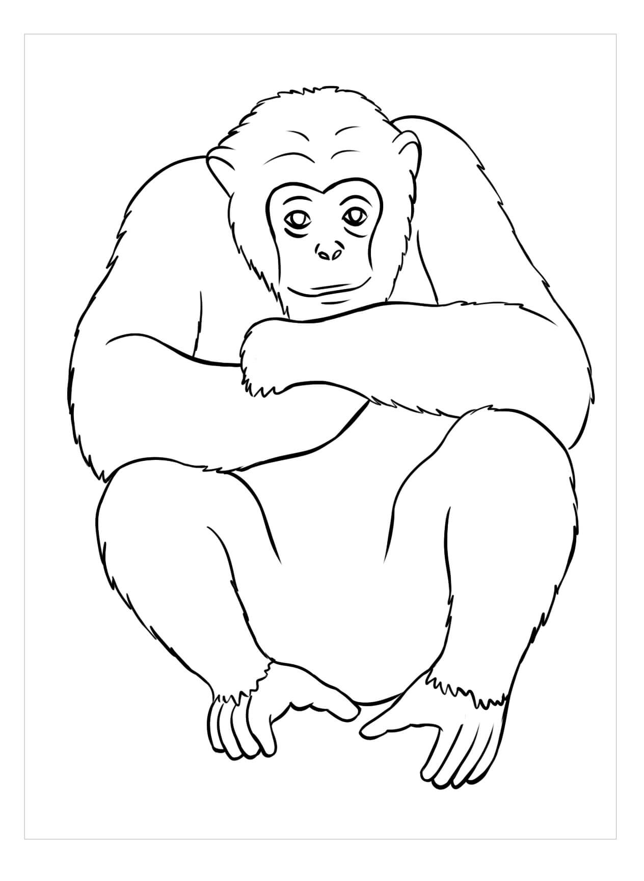 Dibujo de Simio Perfecto para Colorear