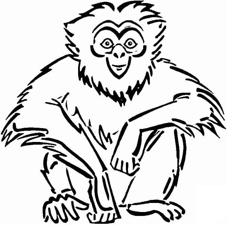 Dibujo de Simio de Dibujo para Colorear