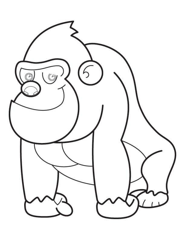 Dibujo de Simios Bsicos para Colorear