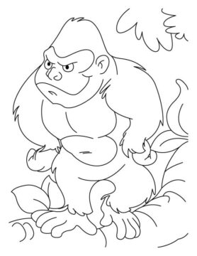 Dibujo de Simios Graciosos para Colorear