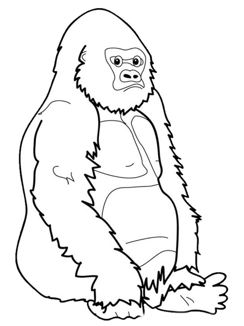 Dibujo de Simios Sentados para Colorear