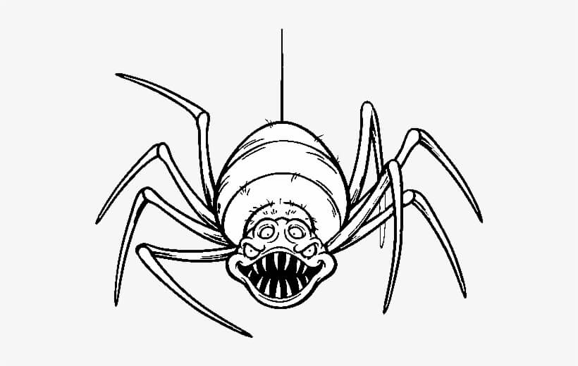 Dibujo de Araña Aterradora para Colorear