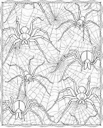 Dibujo de Araña Dura para Colorear