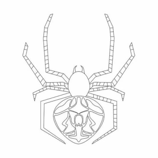Dibujo de Araña Saltadora para Colorear
