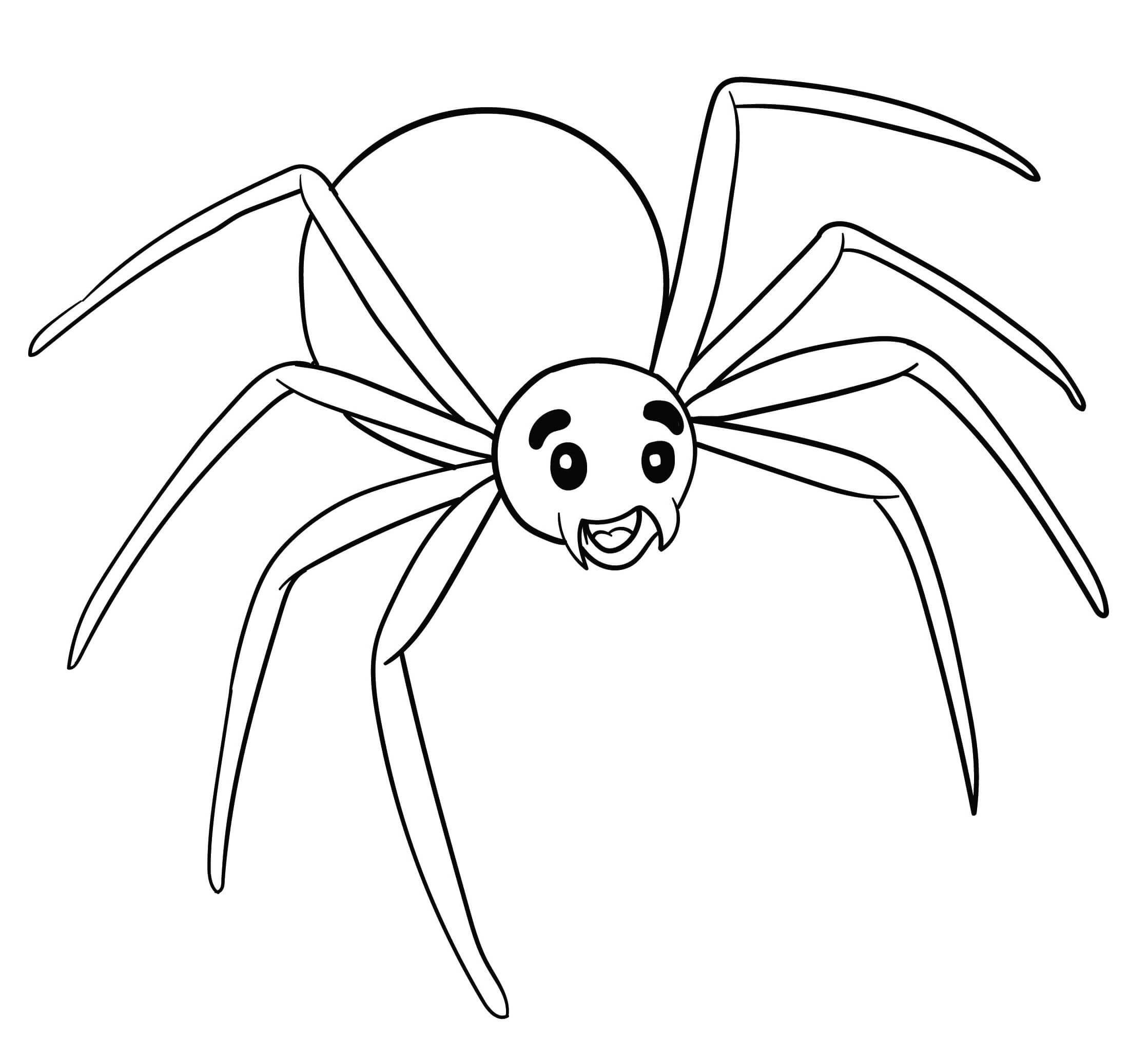 Dibujo de Diversion de araña para Colorear