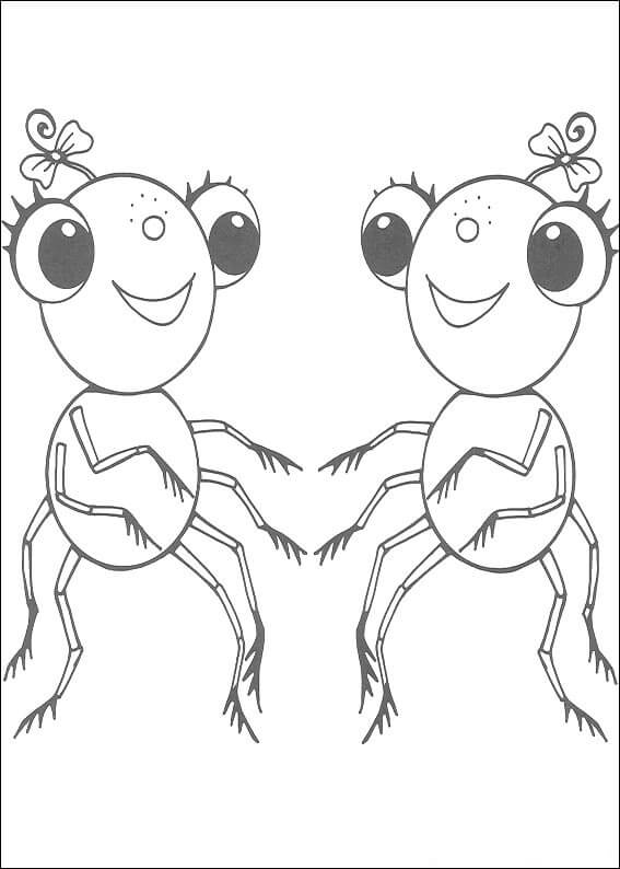 Dibujo de Dos señorita arañas para Colorear