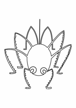 Dibujo de Dulce araña para Colorear