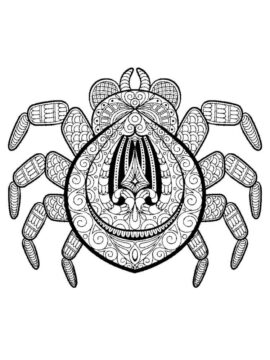 Dibujo de La araña Es para Adultos para Colorear