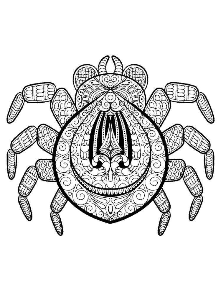Dibujo de La araña Es para Adultos para Colorear