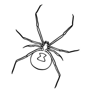 Dibujo de La araña Ha Vuelto para Colorear