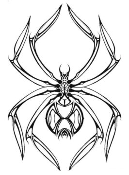 Dibujo de Reina araña para Colorear