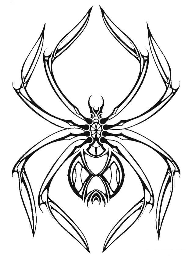 Dibujo de Reina araña para Colorear