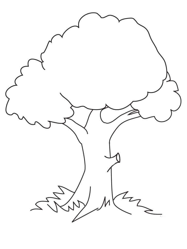 Dibujo de Árbol Normal para Colorear
