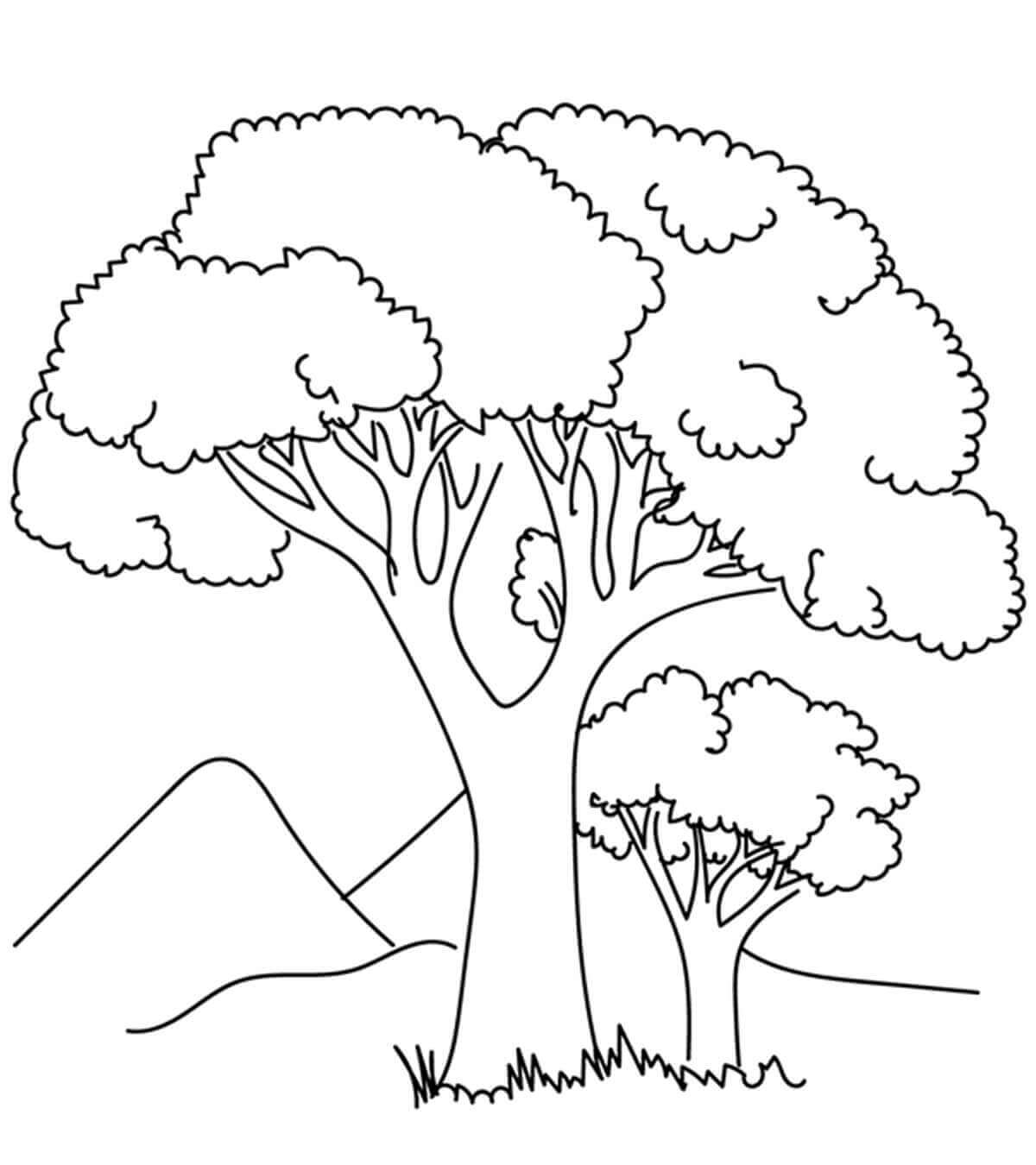 Dibujo de Dos árboles para Colorear
