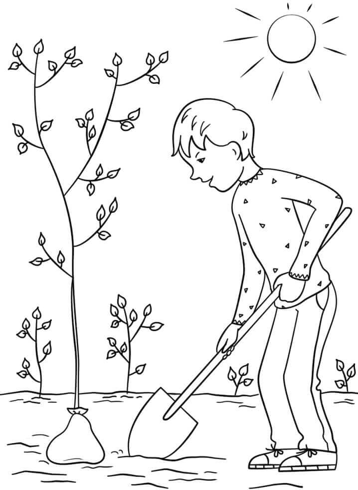 Dibujo de Niño Plantando un árbol para Colorear