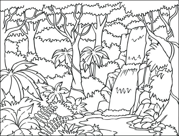 Dibujo de Paisaje del Bosque Lluvioso para Colorear